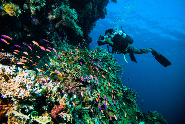 Scbua diver taking photos of marine life off the coasdt of Amed, Bali.