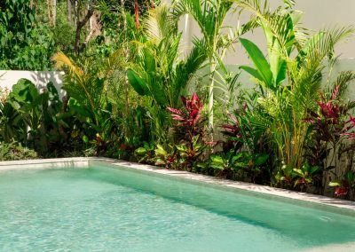 Turquoise pool edge lined with pink-leaf tropical plants and palms at Villa Svara at Vesica Villas Resort in Amed.