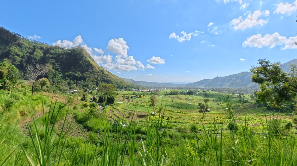 Amed landcape with tropical hills and lush reice paddies looking towards the ocean
